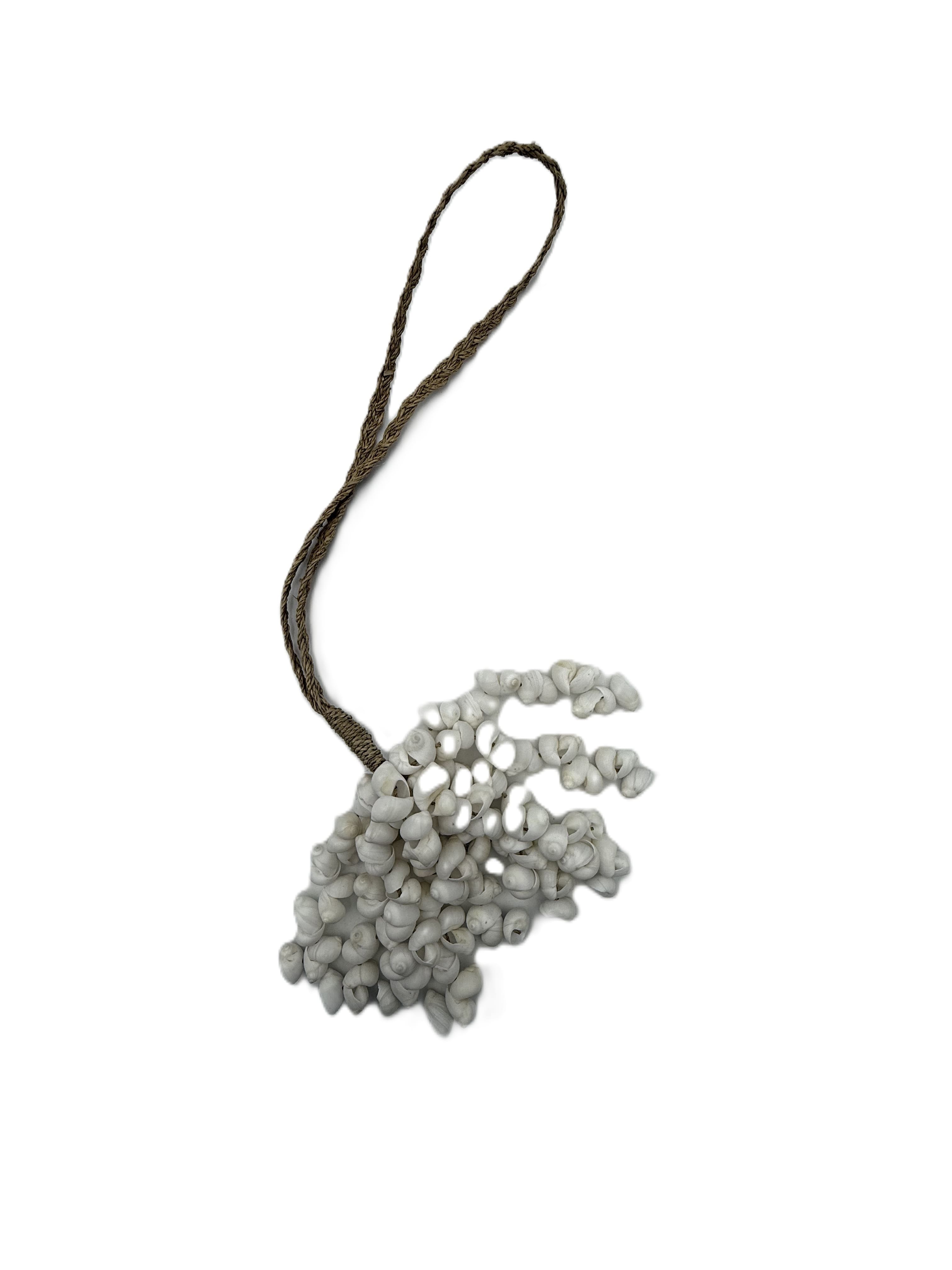 Embrasse lunga Aurelia