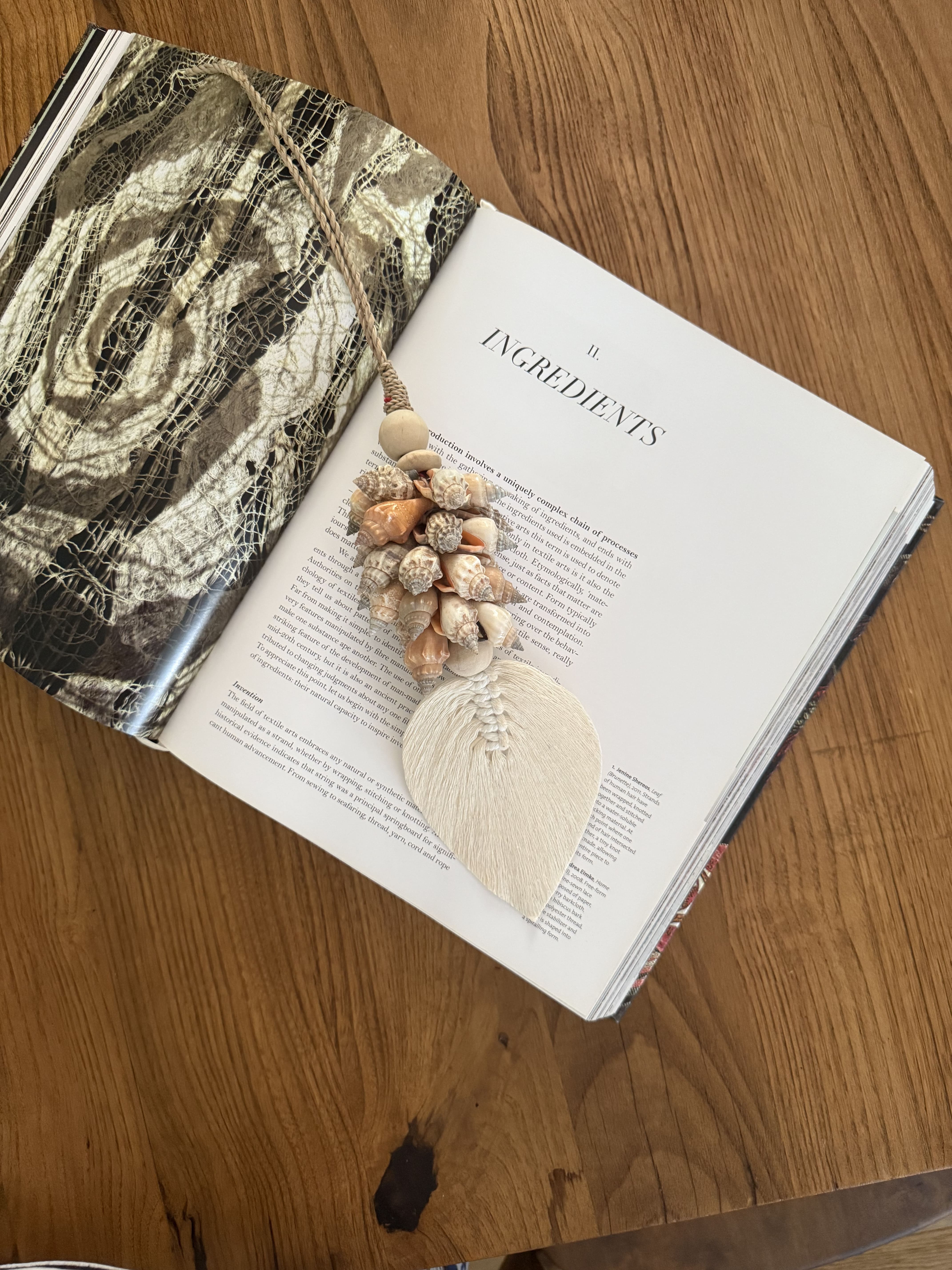 Embrasse conchiglie e foglia bianca