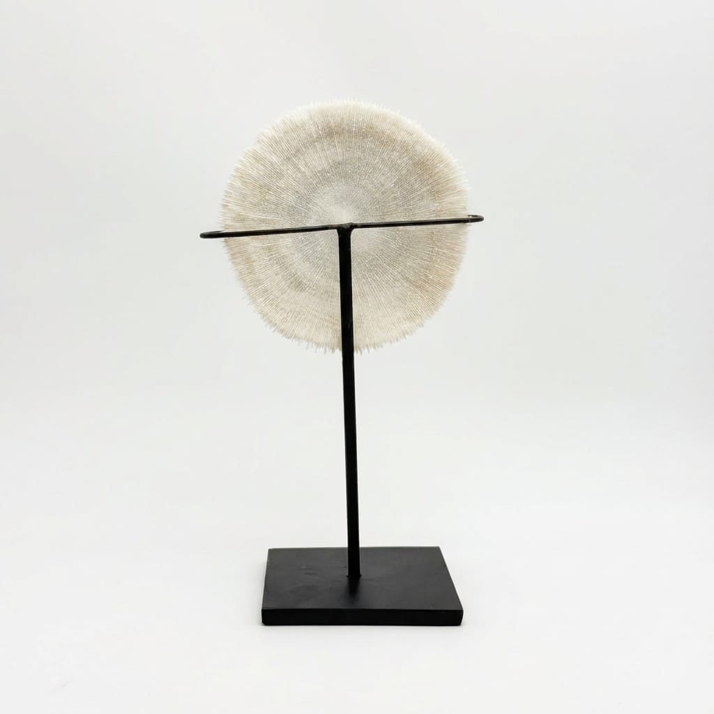 Conchiglia: Il Marziano