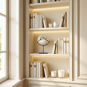 Conchiglia: Luna di Mare